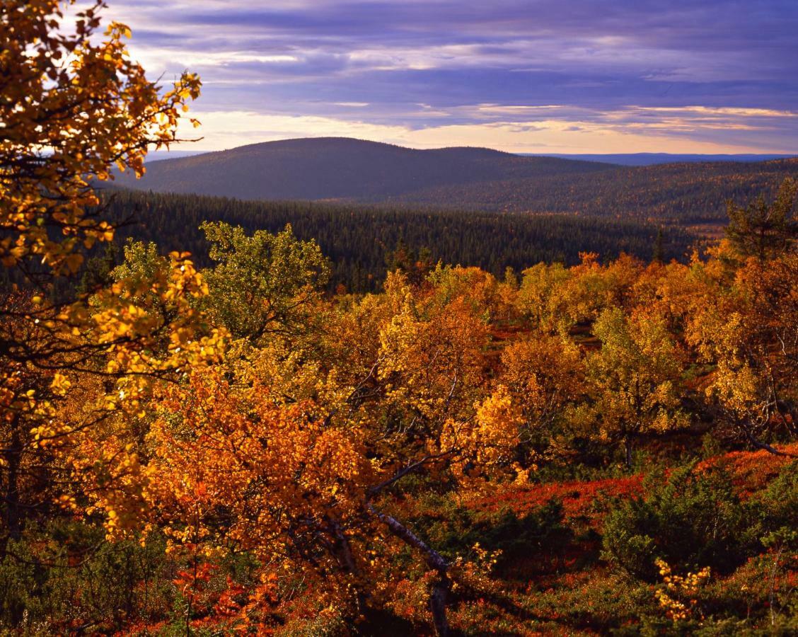 Lapland Hotels Yllaeskaltio Akaslompolo Bagian luar foto